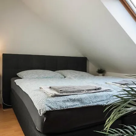 Surfer Loft With Ac And Sun Terrace Apartment Bonn Exterior photo