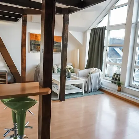 Surfer Loft With Ac And Sun Terrace Apartment Bonn Exterior photo