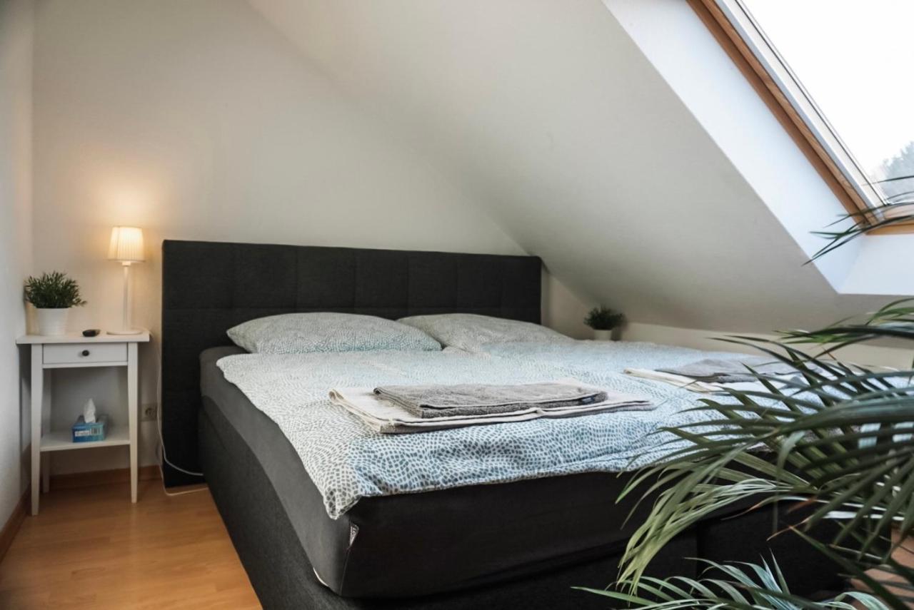 Surfer Loft With Ac And Sun Terrace * Bonn
